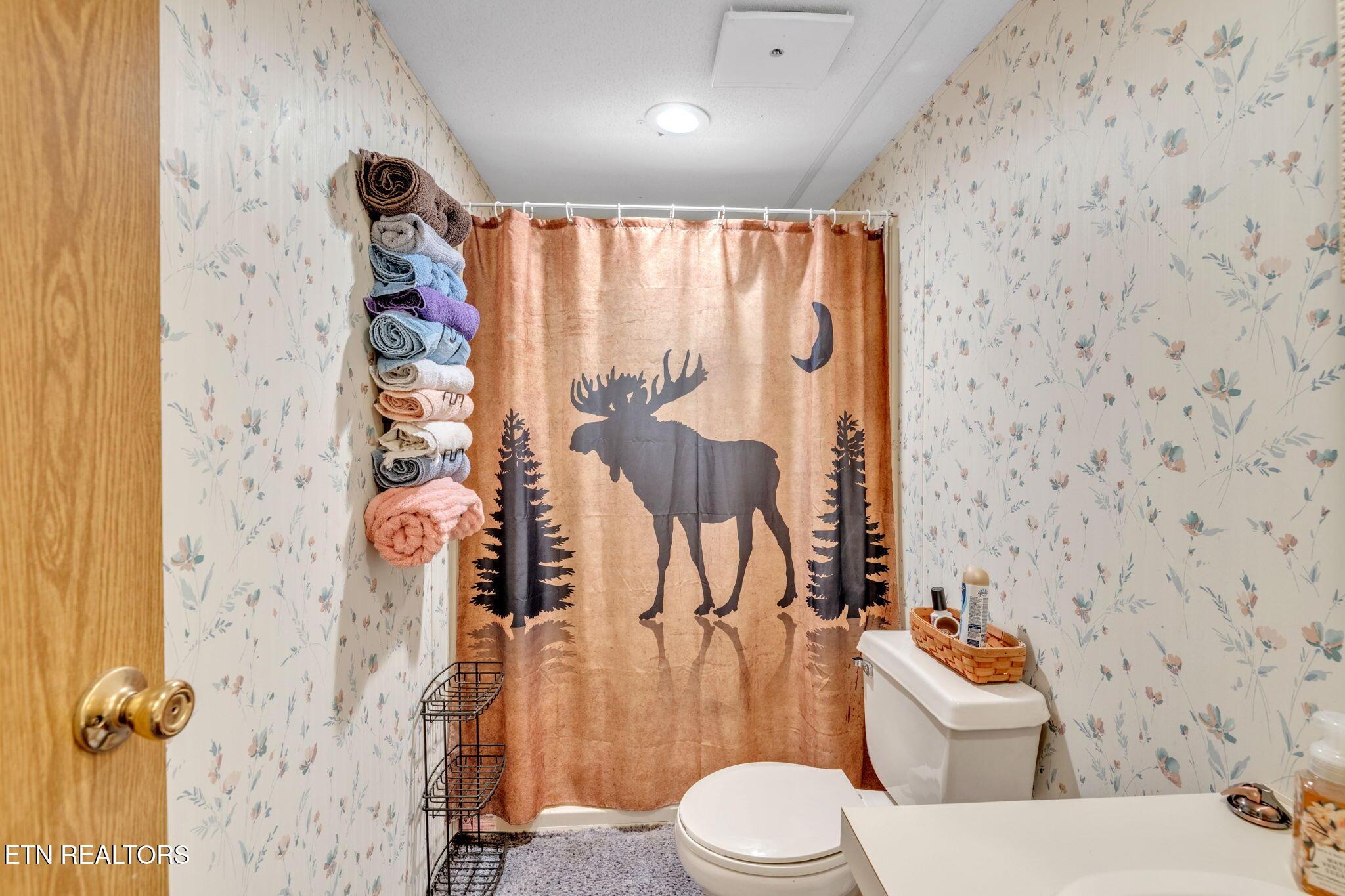 237 Blue Ridge Rd, Speedwell, TN - Norris Lake Real Estate - Image# 14