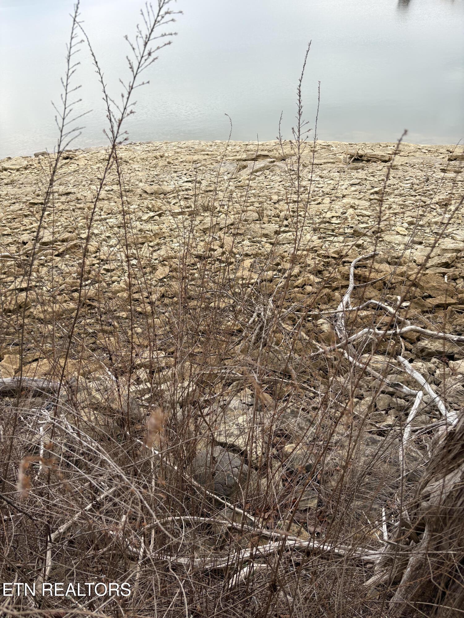 Lot 765 Russell Brothers Rd, Sharps Chapel, TN - Norris Lake Real Estate - Image# 7