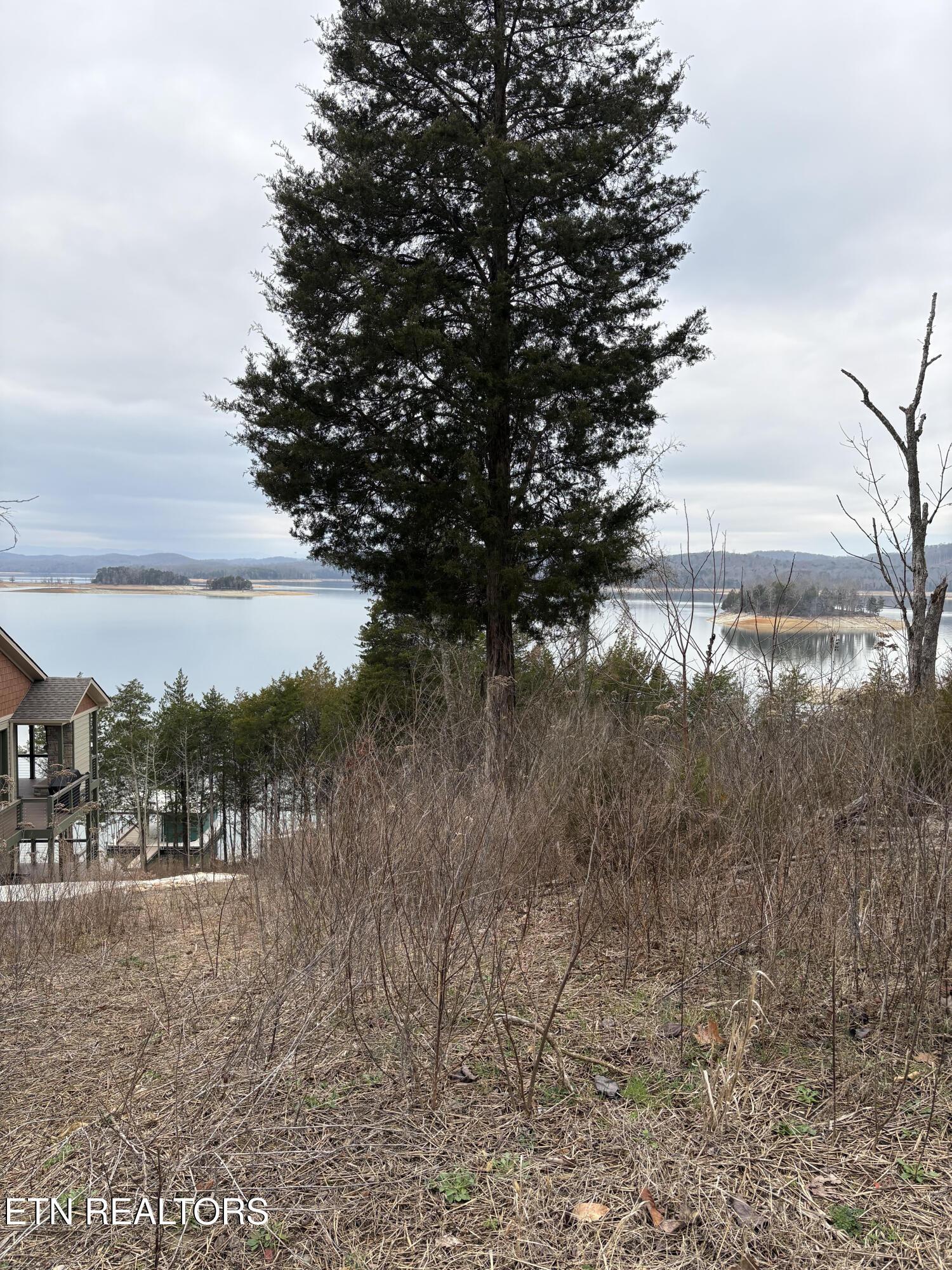 Lot 765 Russell Brothers Rd, Sharps Chapel, TN - Norris Lake Real Estate - Image# 3