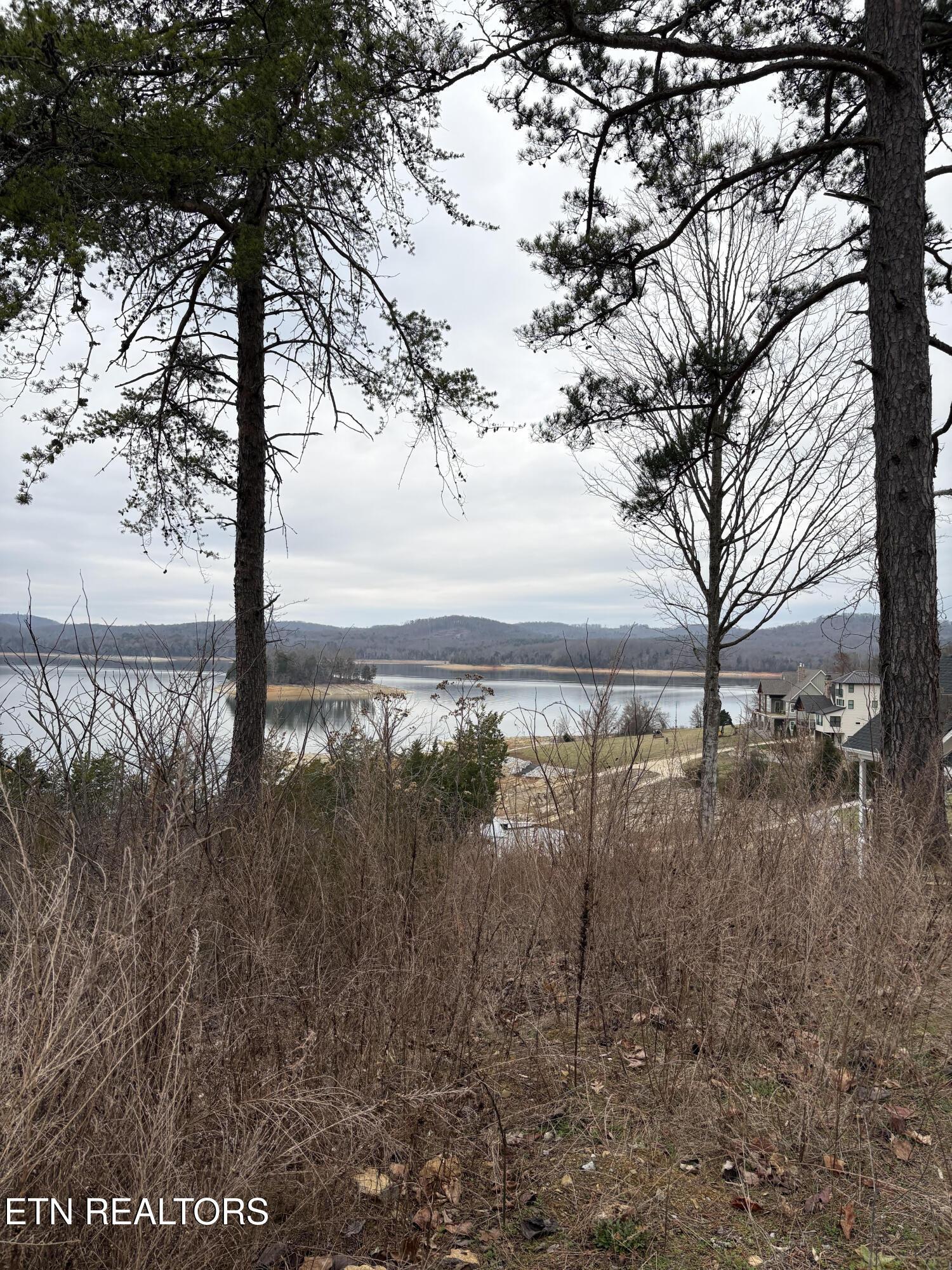 Lot 765 Russell Brothers Rd, Sharps Chapel, TN - Norris Lake Real Estate - Image# 4