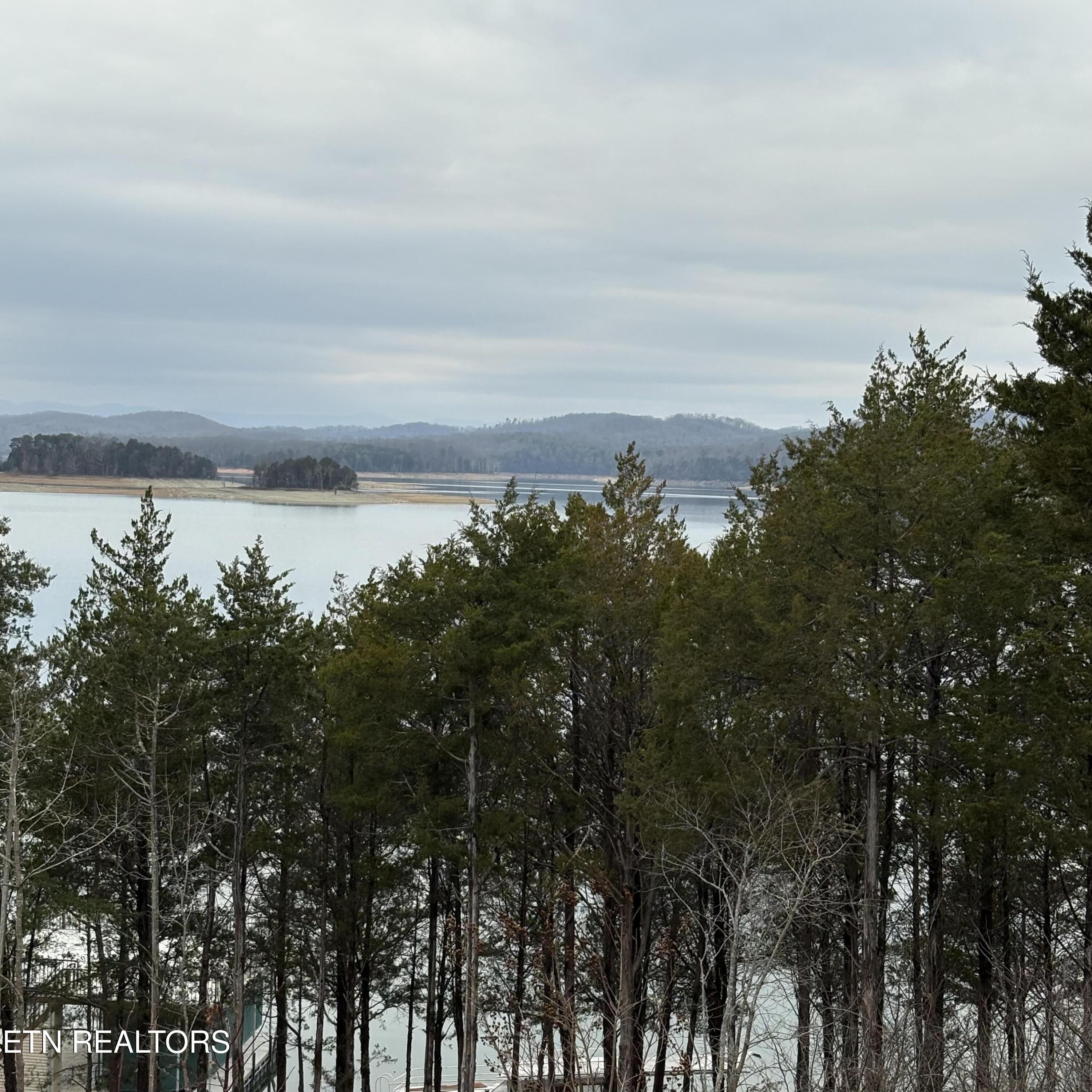 Lot 765 Russell Brothers Rd, Sharps Chapel, TN - Norris Lake Real Estate - Image# 6