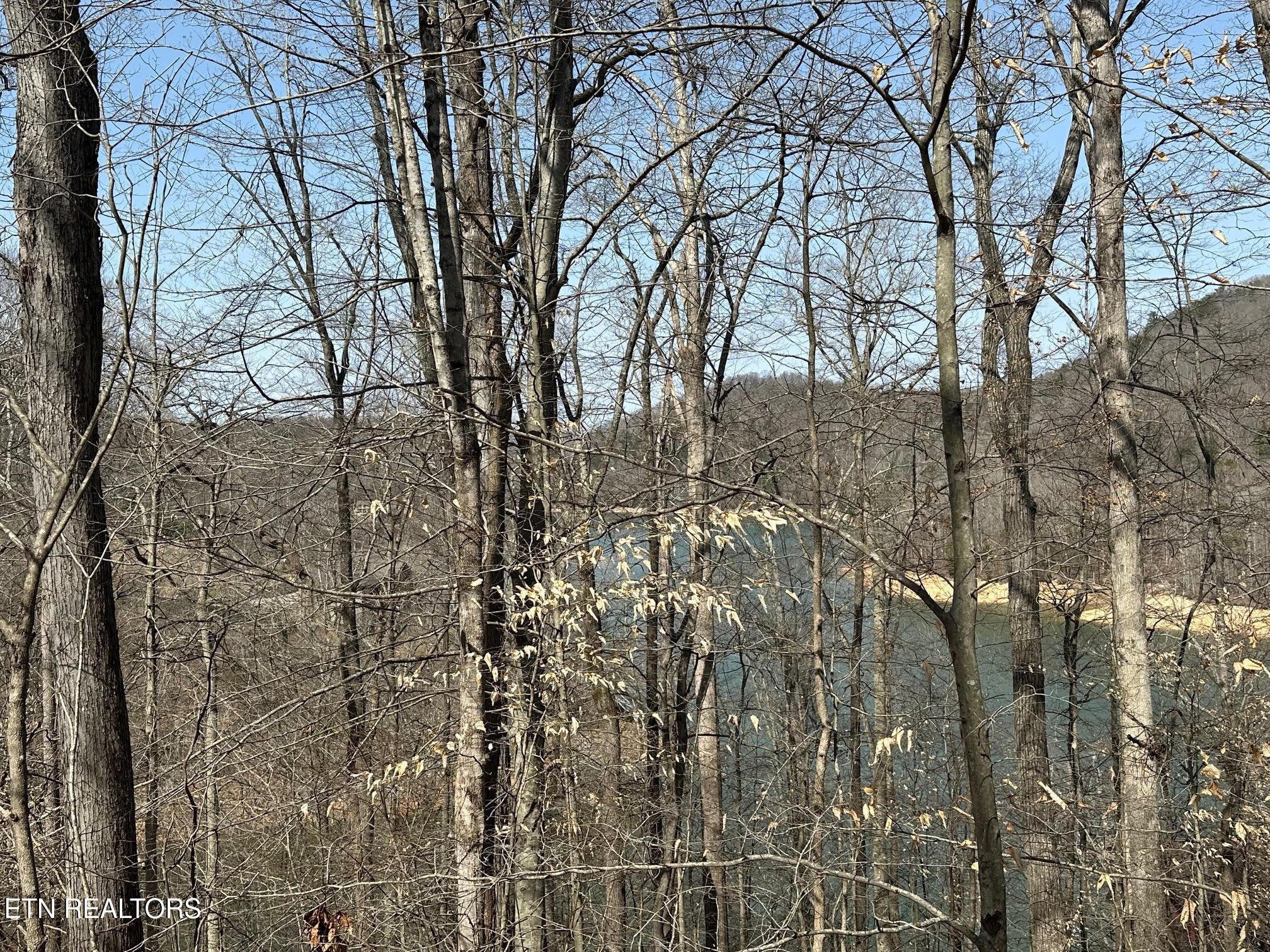 Lot 51 S Shorewood Drive, Caryville, TN - Norris Lake Real Estate - Image# 3