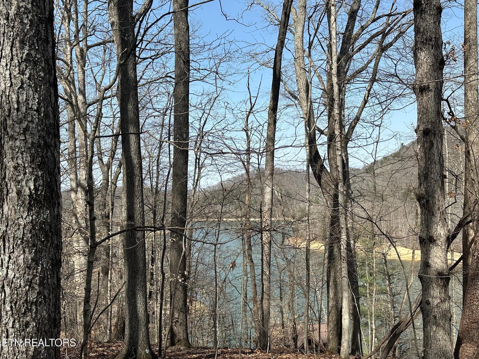 Lot 51 S Shorewood Drive, Caryville, TN - Norris Lake Real Estate - Image# 5