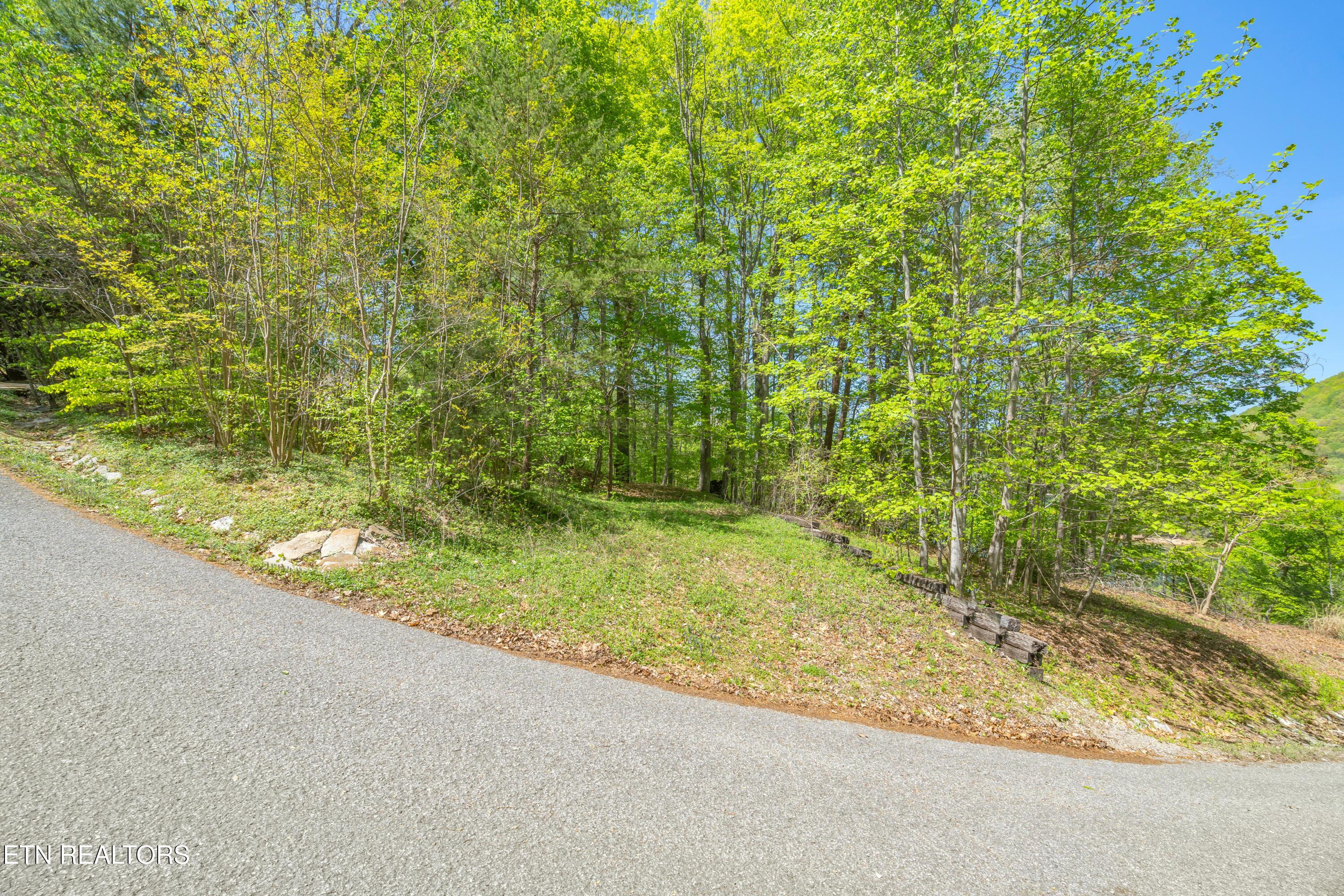 Lot 51 S Shorewood Drive, Caryville, TN - Norris Lake Real Estate - Image# 1
