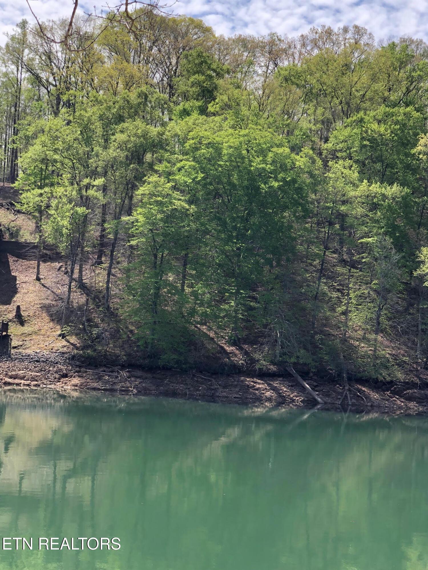 Lot 51 S Shorewood Drive, Caryville, TN - Norris Lake Real Estate - Image# 19