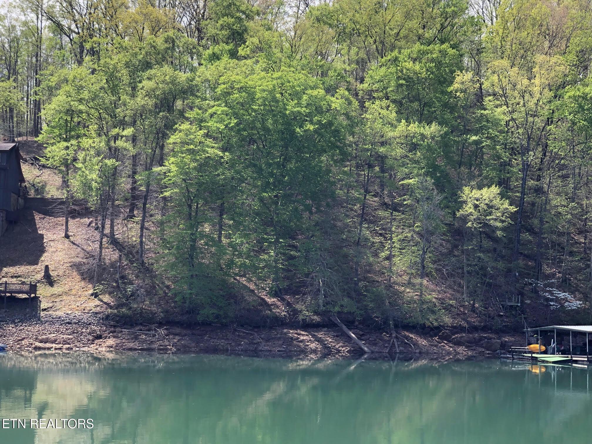 Lot 51 S Shorewood Drive, Caryville, TN - Norris Lake Real Estate - Image# 20