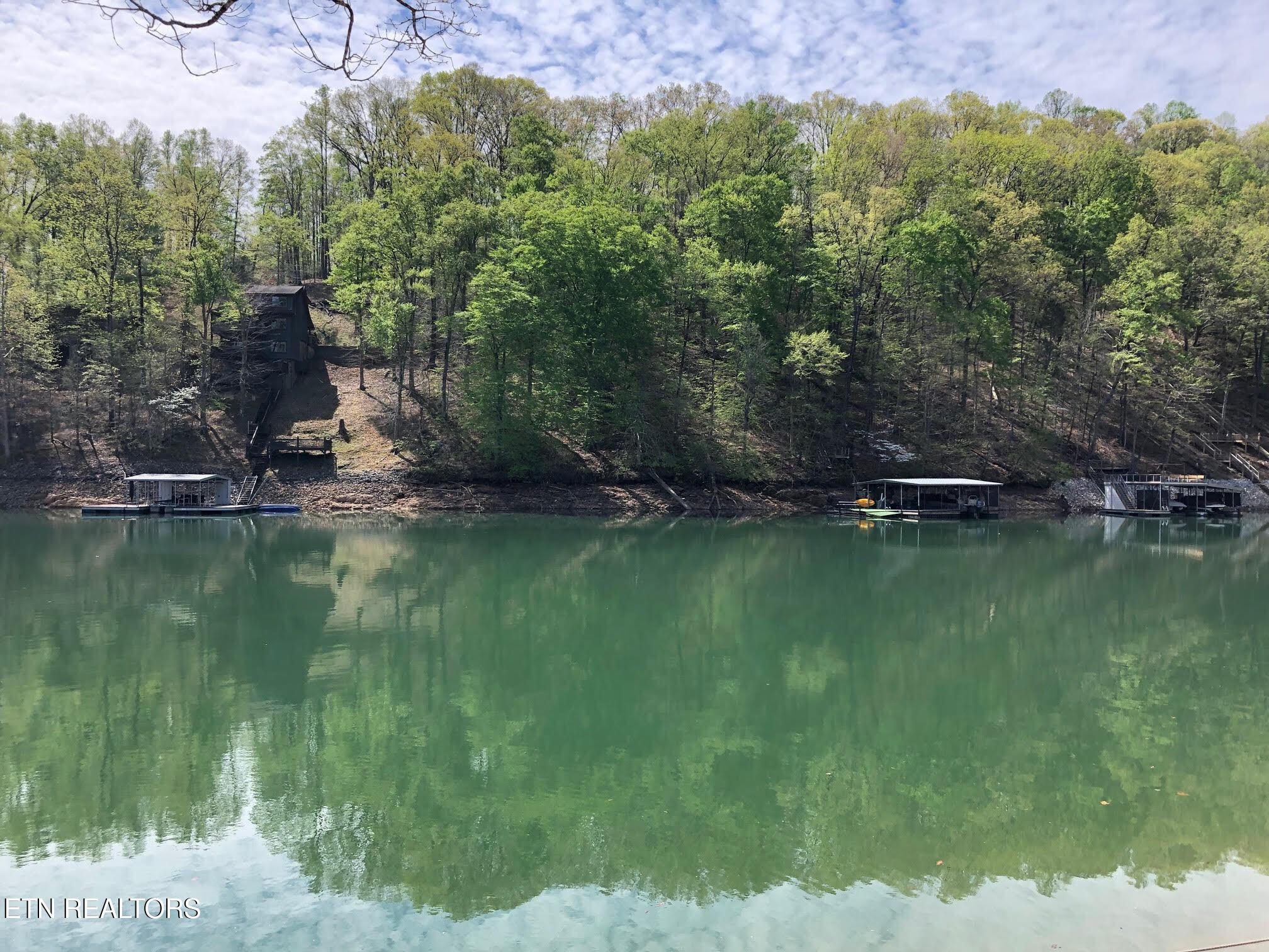 Lot 51 S Shorewood Drive, Caryville, TN - Norris Lake Real Estate - Image# 21