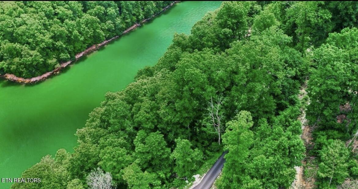 Hiawatha Lane, Caryville, TN - Norris Lake Real Estate - Image# 1