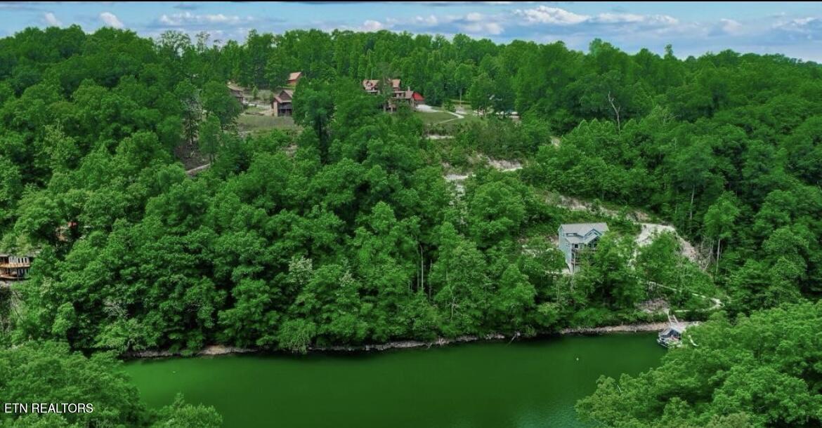 Hiawatha Lane, Caryville, TN - Norris Lake Real Estate - Image# 2