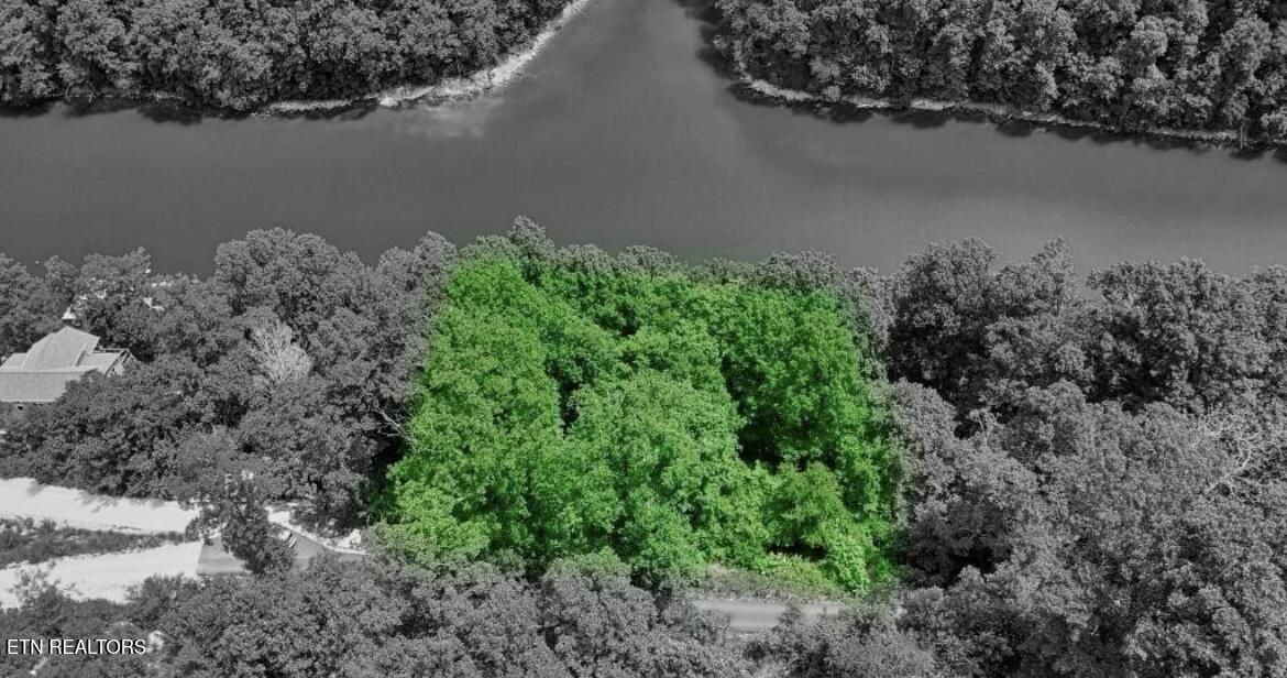 Hiawatha Lane, Caryville, TN - Norris Lake Real Estate - Image# 4