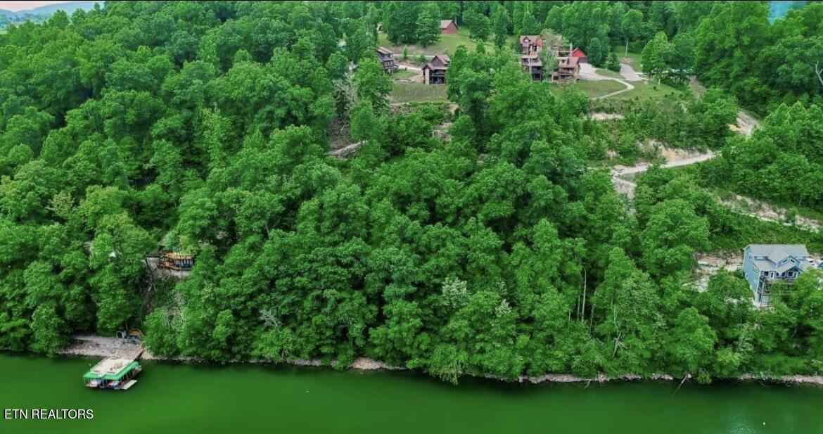 Hiawatha Lane, Caryville, TN - Norris Lake Real Estate - Image# 7