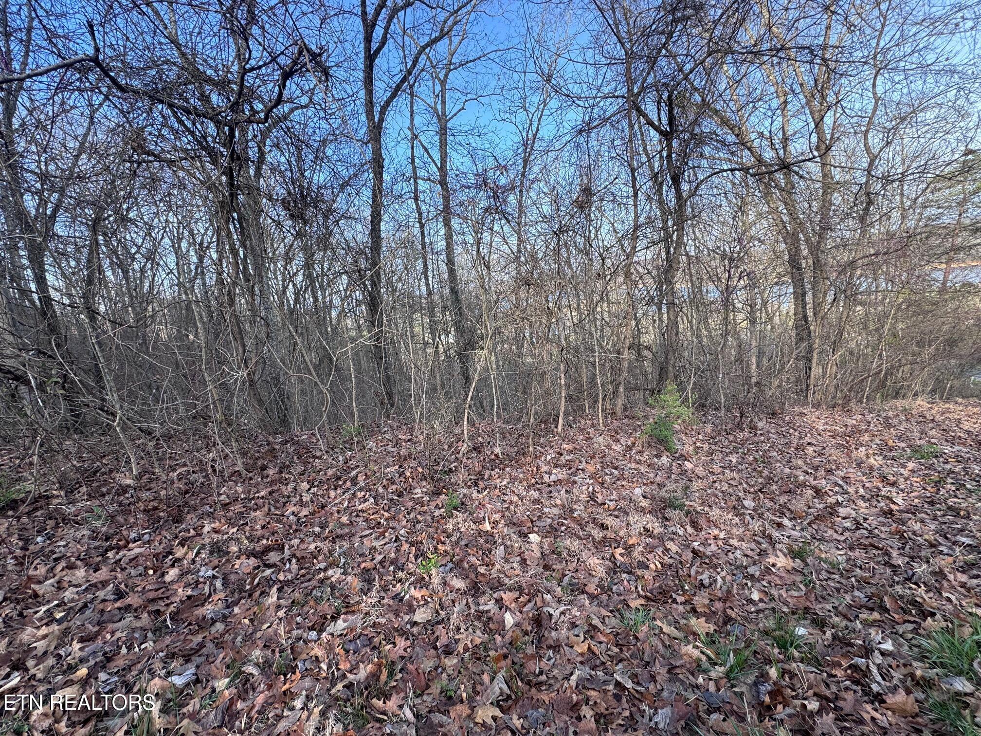 Norris Lake Real Estate - Image# 2