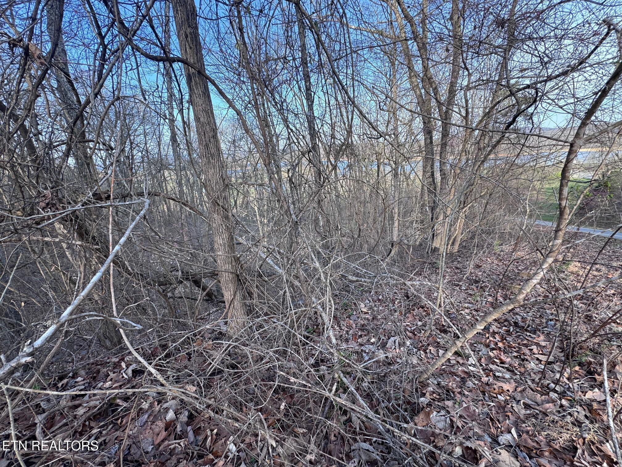 Norris Lake Real Estate - Image# 3