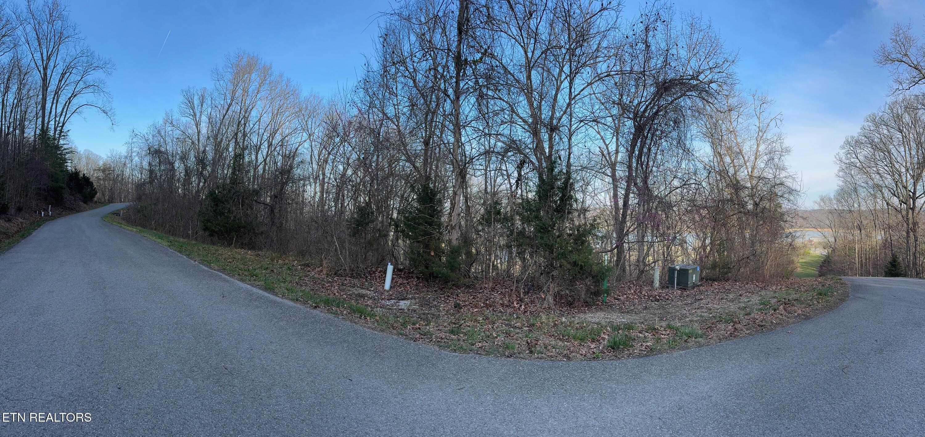 Norris Lake Real Estate - Image# 5