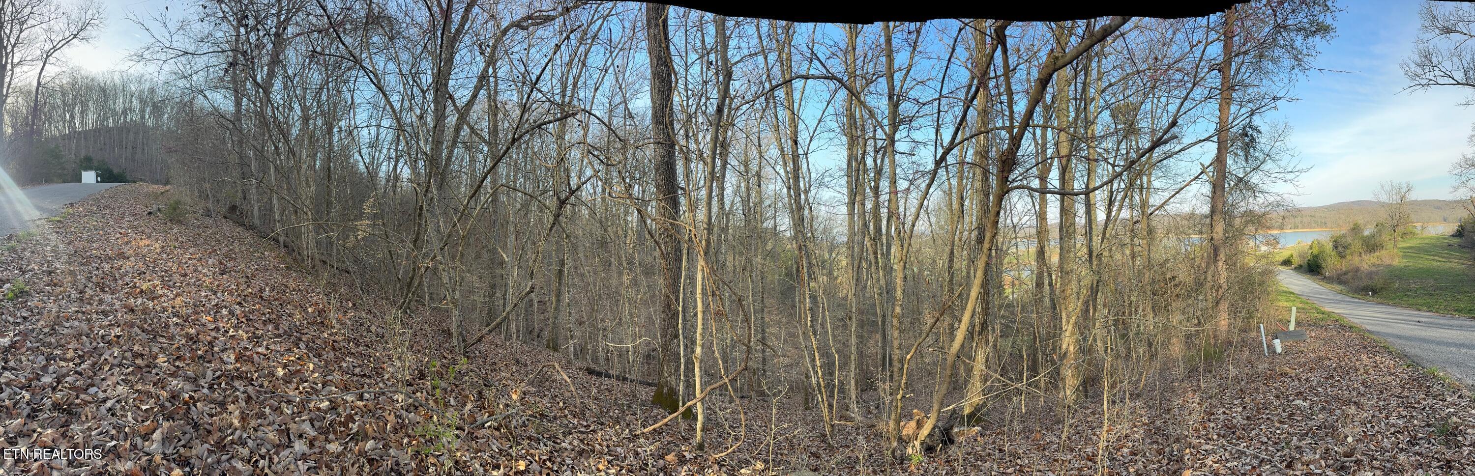 Norris Lake Real Estate - Image# 7