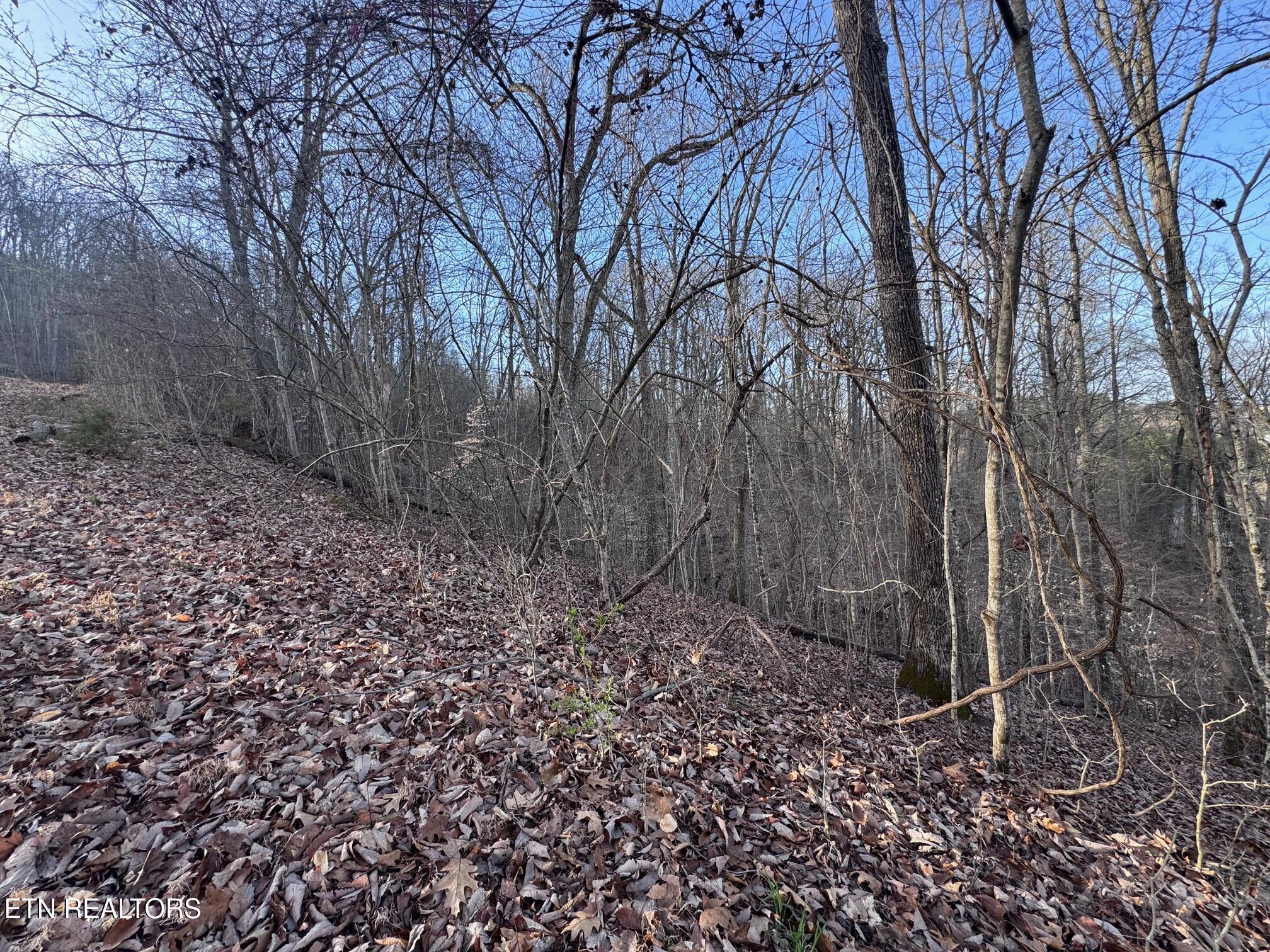 Norris Lake Real Estate - Image# 8