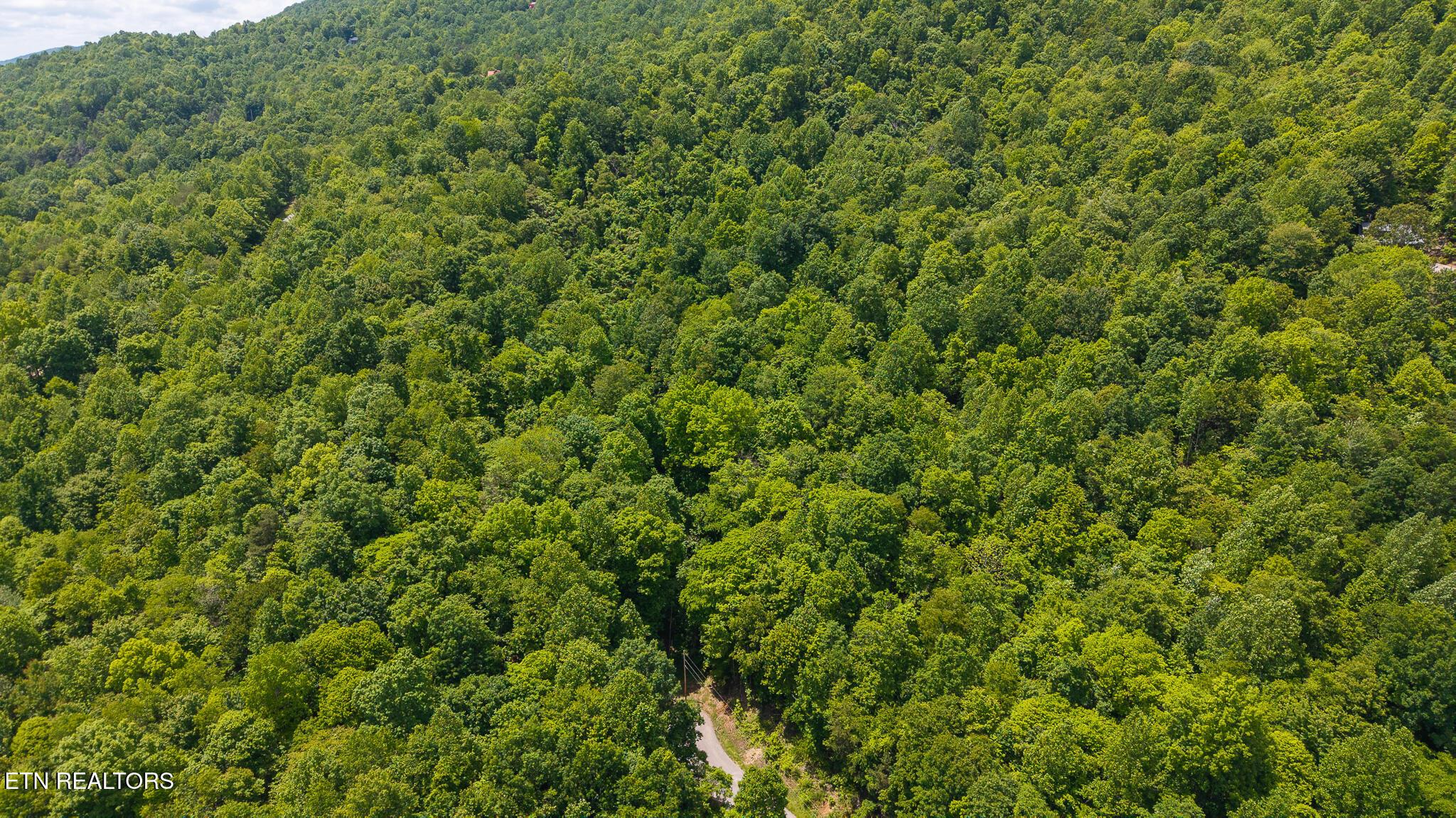 Norris Lake Real Estate - Image# 1