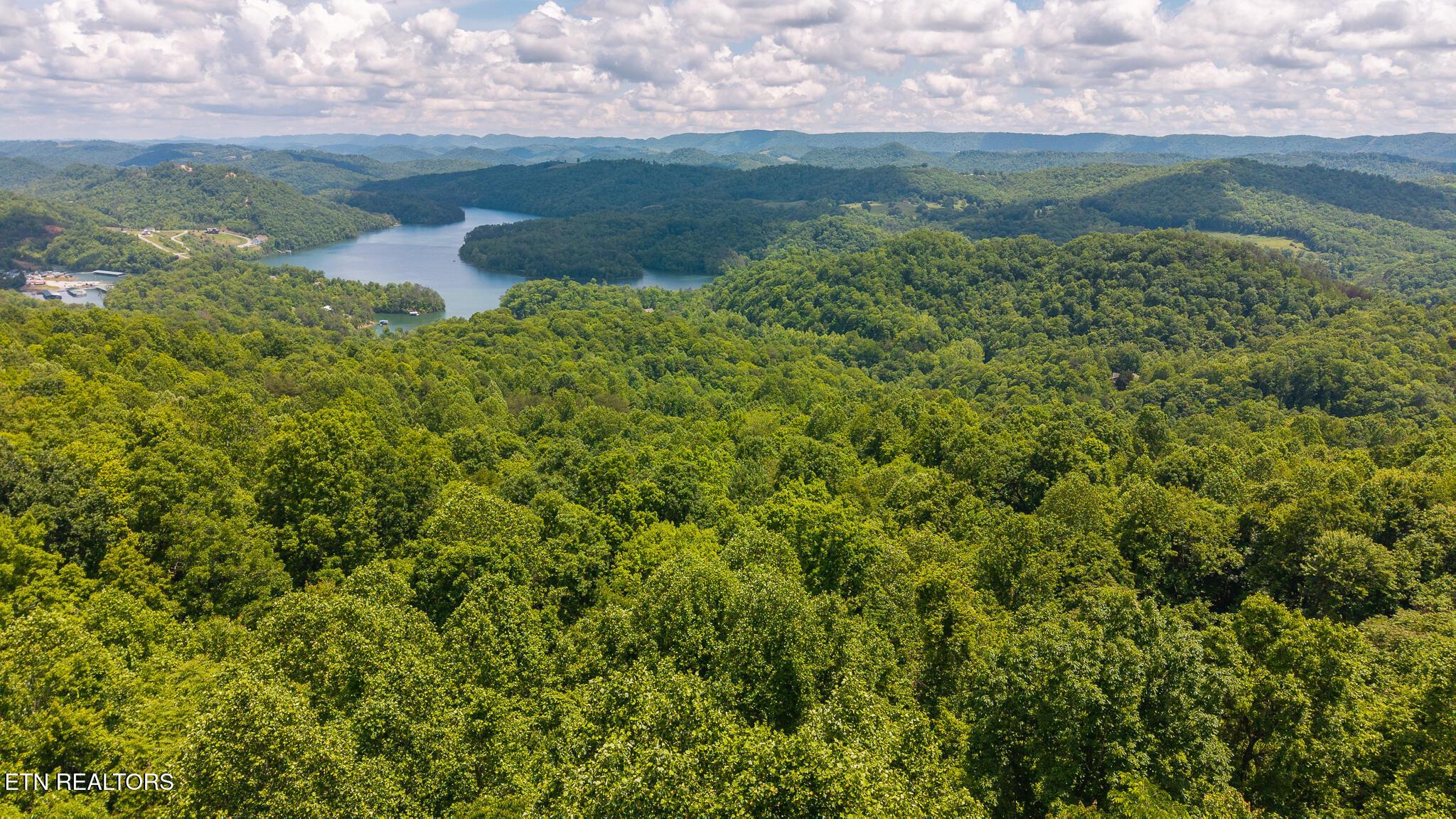 Norris Lake Real Estate - Image# 6