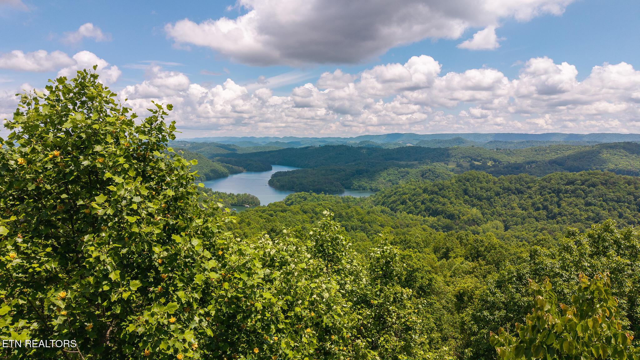 Norris Lake Real Estate - Image# 7