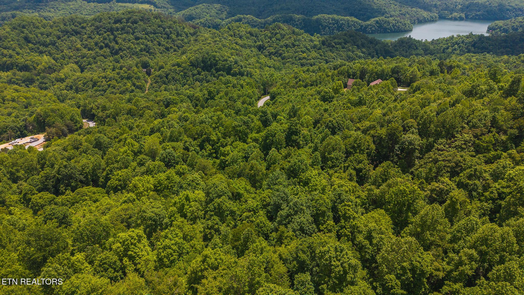Norris Lake Real Estate - Image# 8
