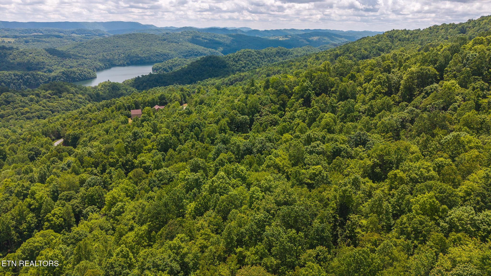 Norris Lake Real Estate - Image# 9