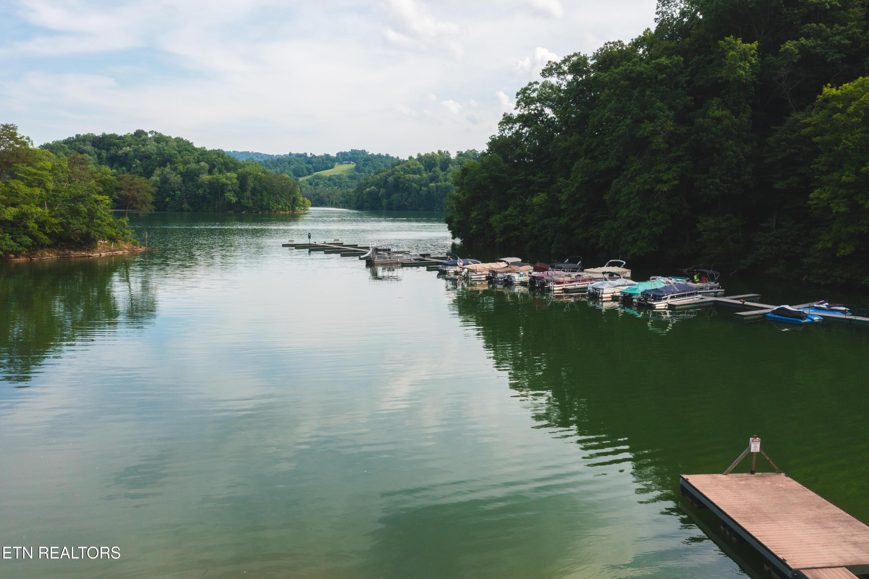 Norris Lake Real Estate - Image# 26