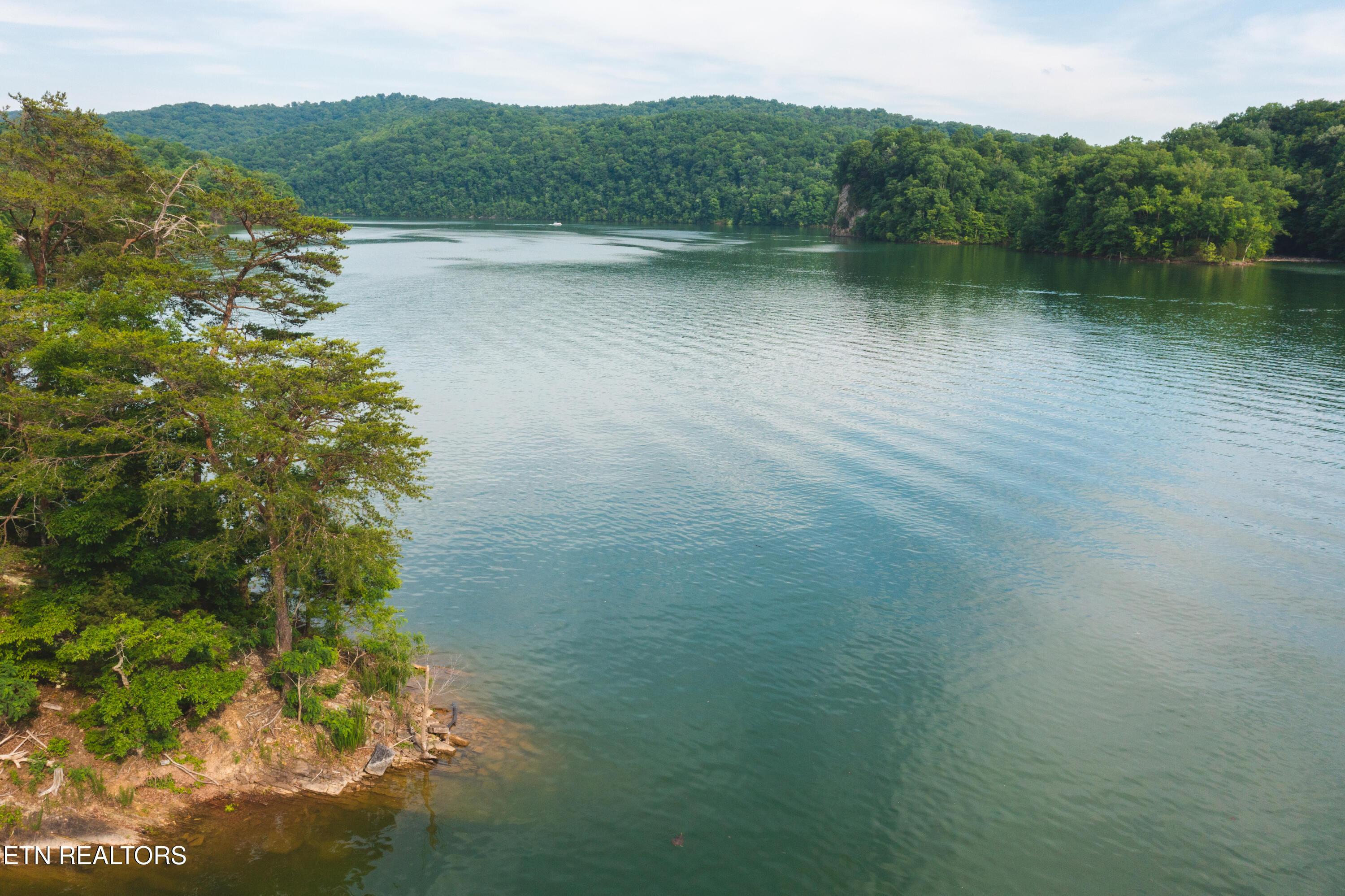 Norris Lake Real Estate - Image# 3