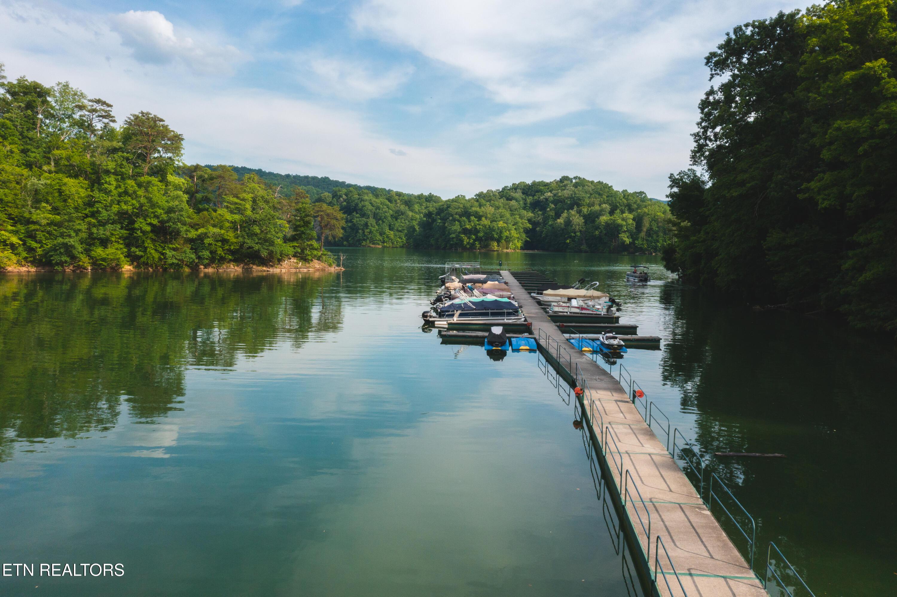 Norris Lake Real Estate - Image# 30