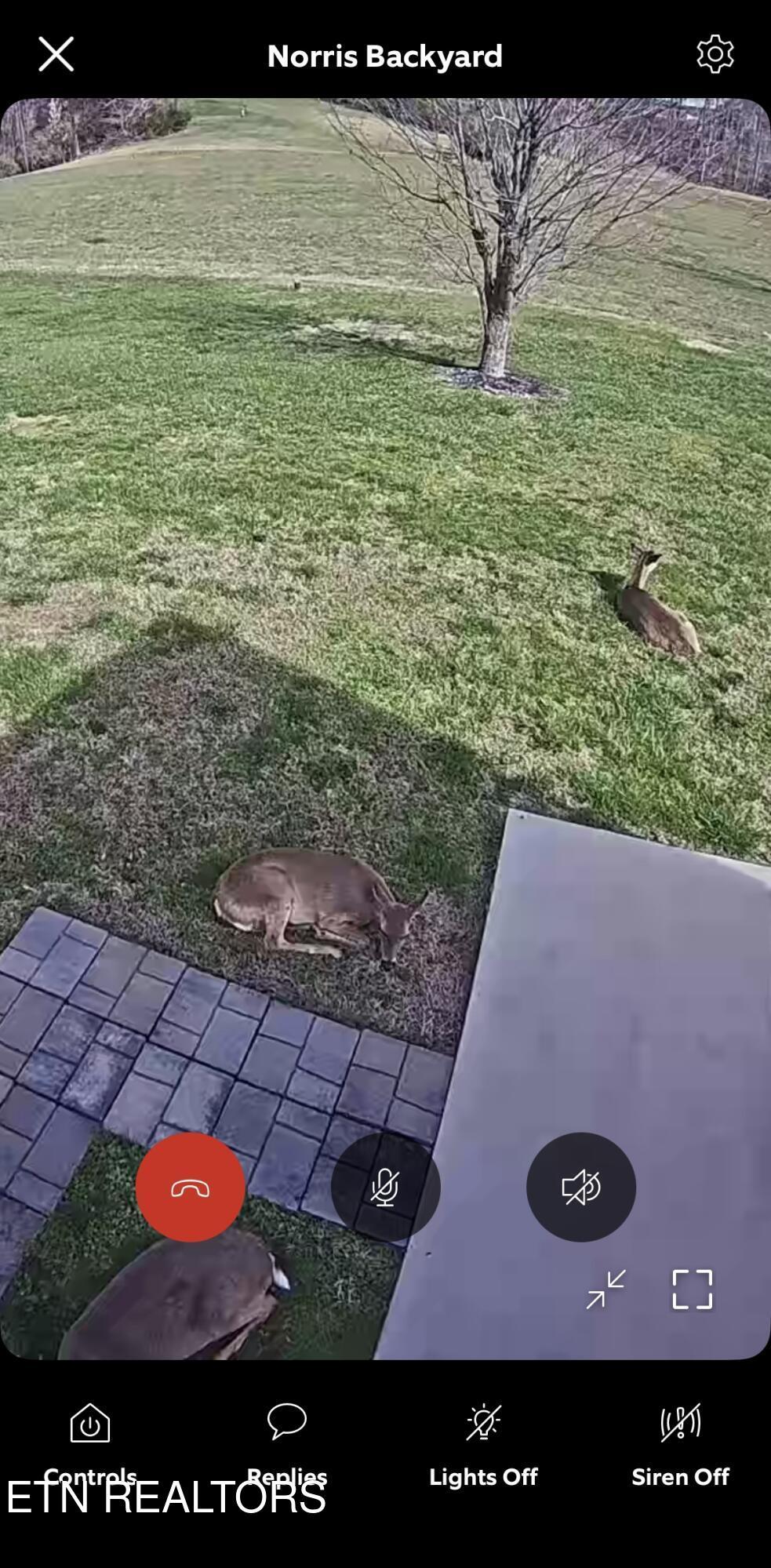 Norris Lake Real Estate - Image# 60