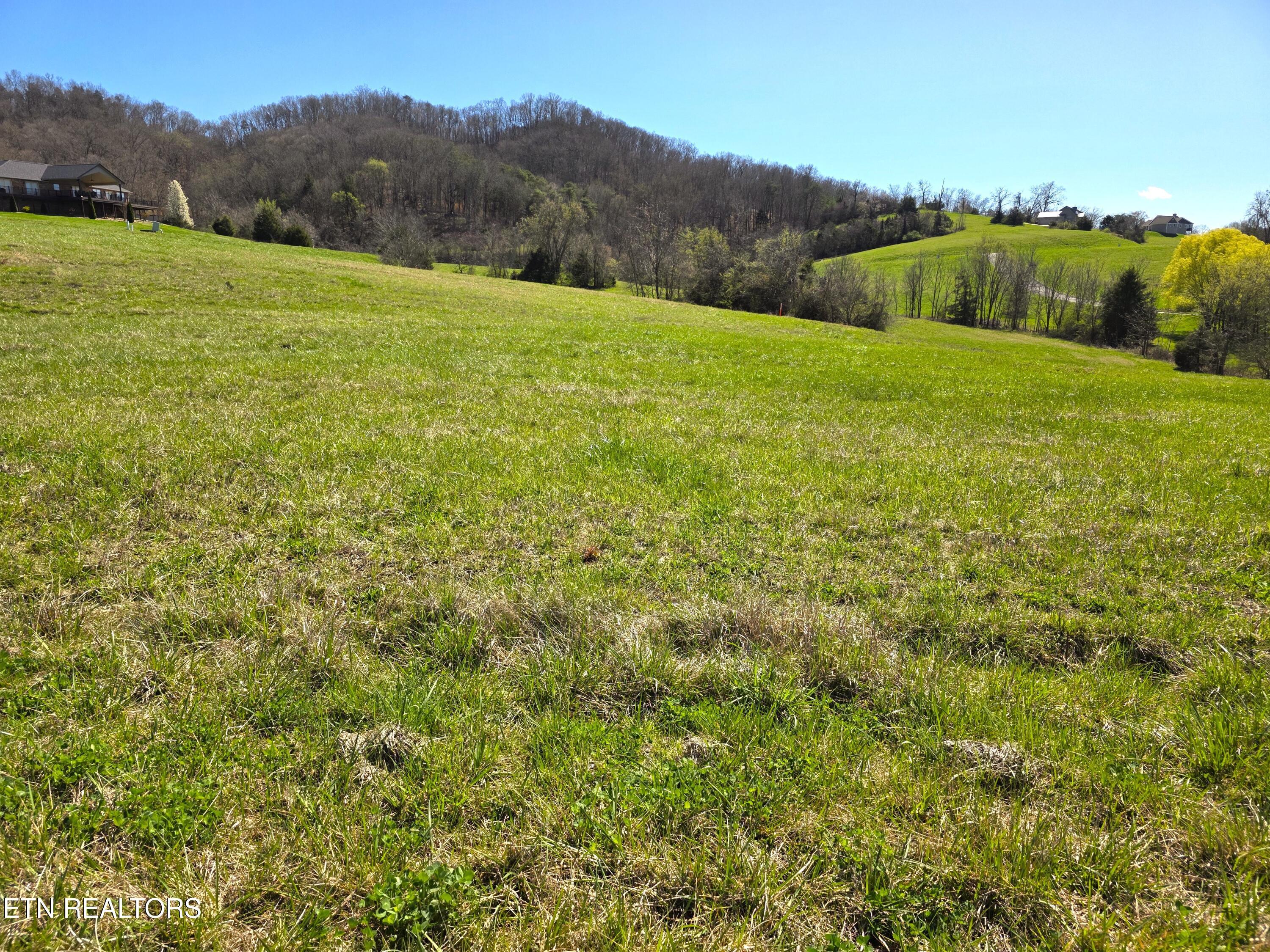 Anchor Place, Sharps Chapel, TN - Norris Lake Real Estate - Image# 5