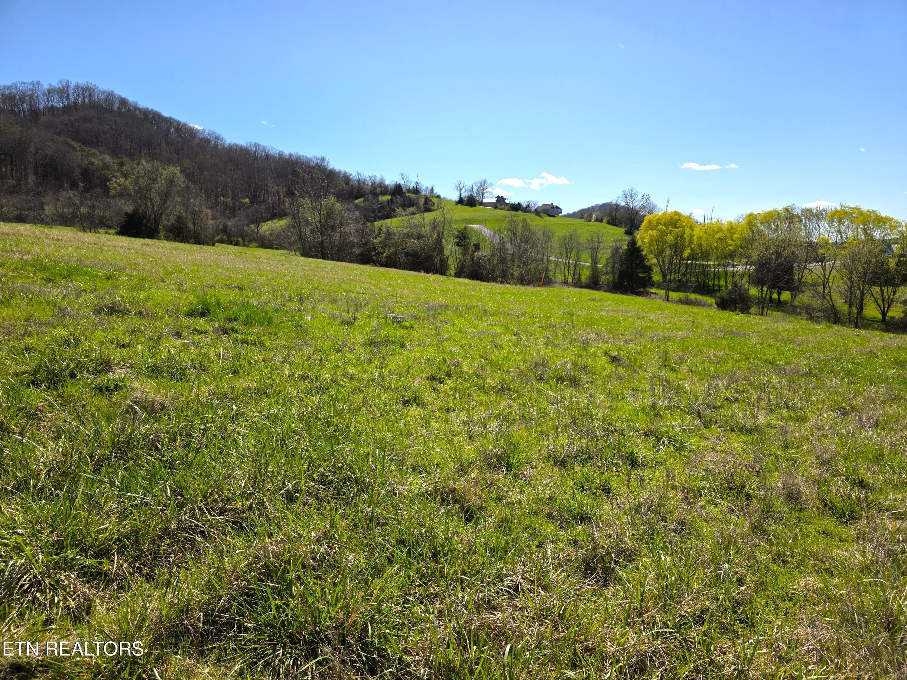 Anchor Place, Sharps Chapel, TN - Norris Lake Real Estate - Image# 6