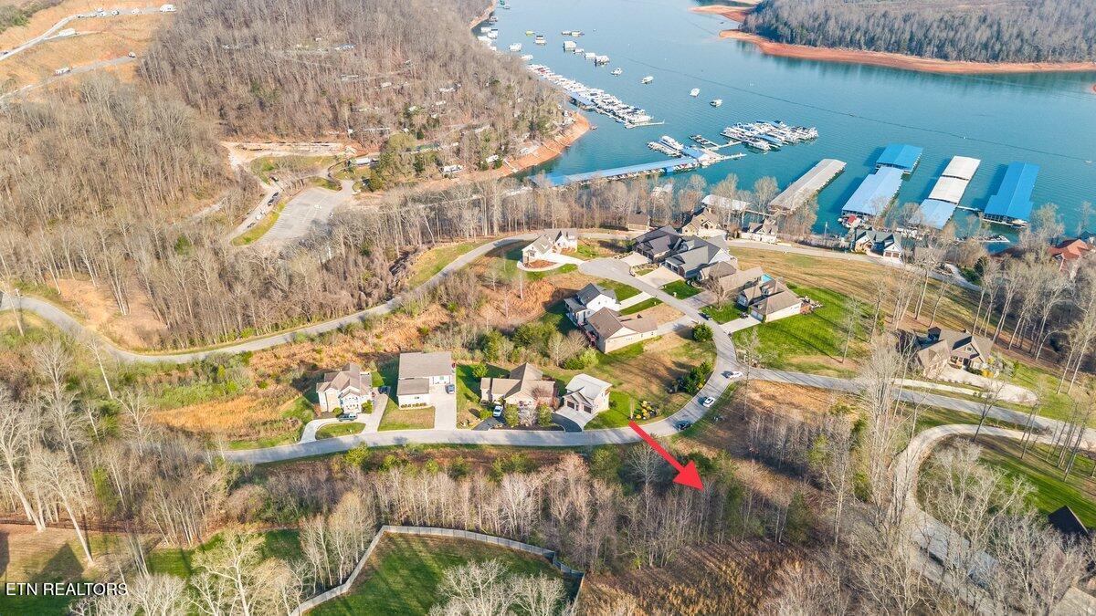 Norris Lake Real Estate - Image# 6