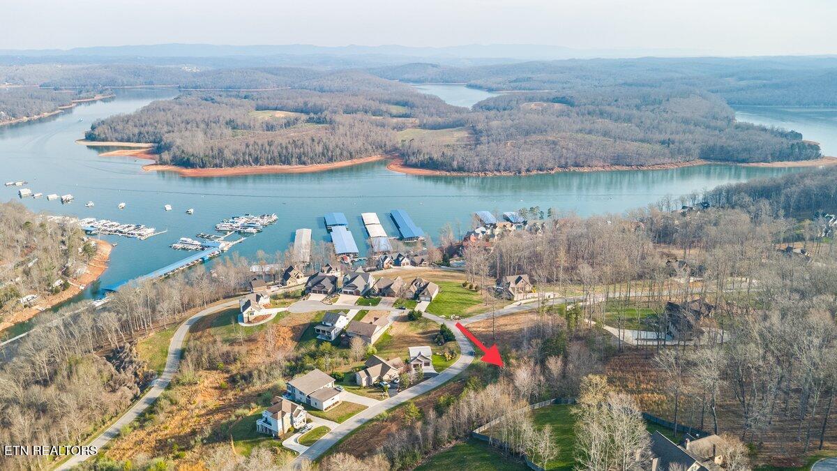 Norris Lake Real Estate - Image# 4