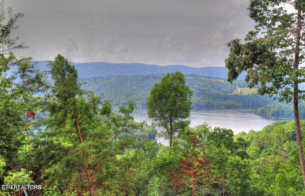Norris Lake Real Estate - Image# 2