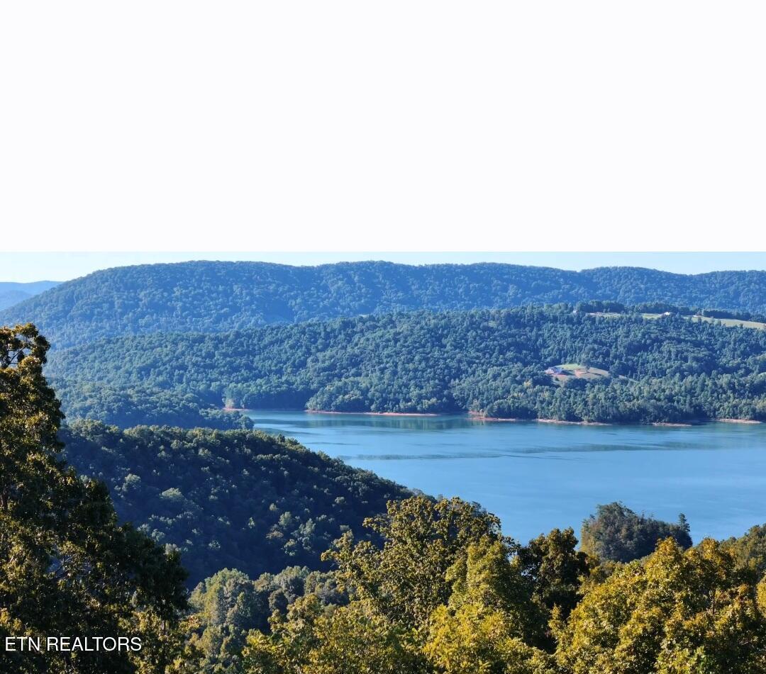 Norris Lake Real Estate - Image# 4