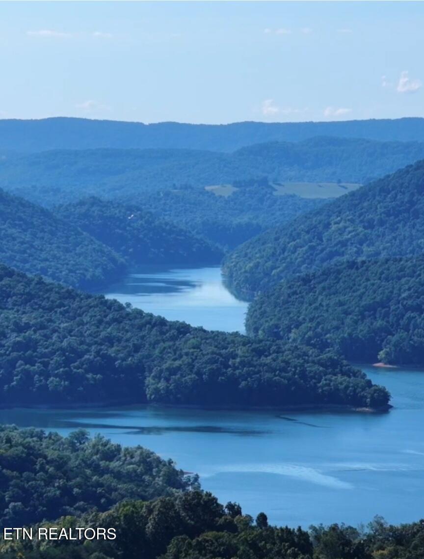 Norris Lake Real Estate - Image# 5