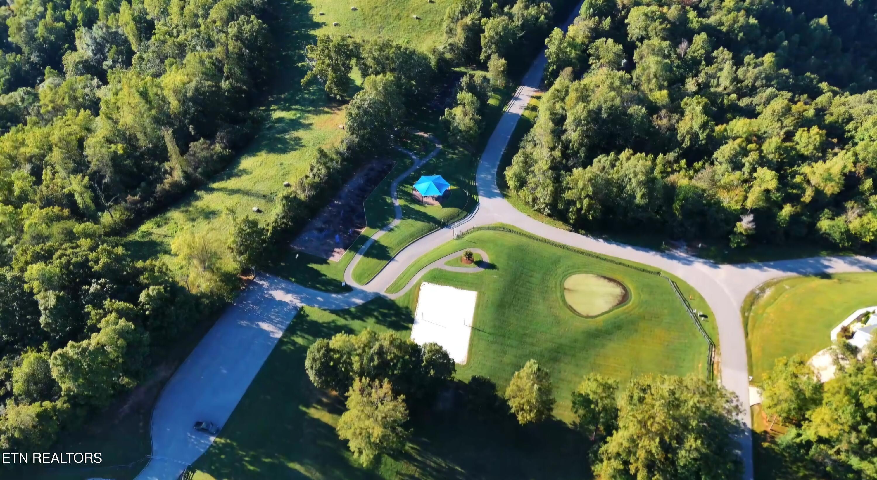 Norris Lake Real Estate - Image# 14