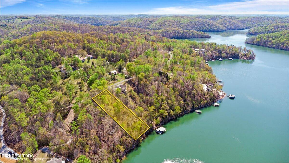 Lot 44 Hiwassee Drive, Jacksboro, TN - Norris Lake Real Estate - Image# 1