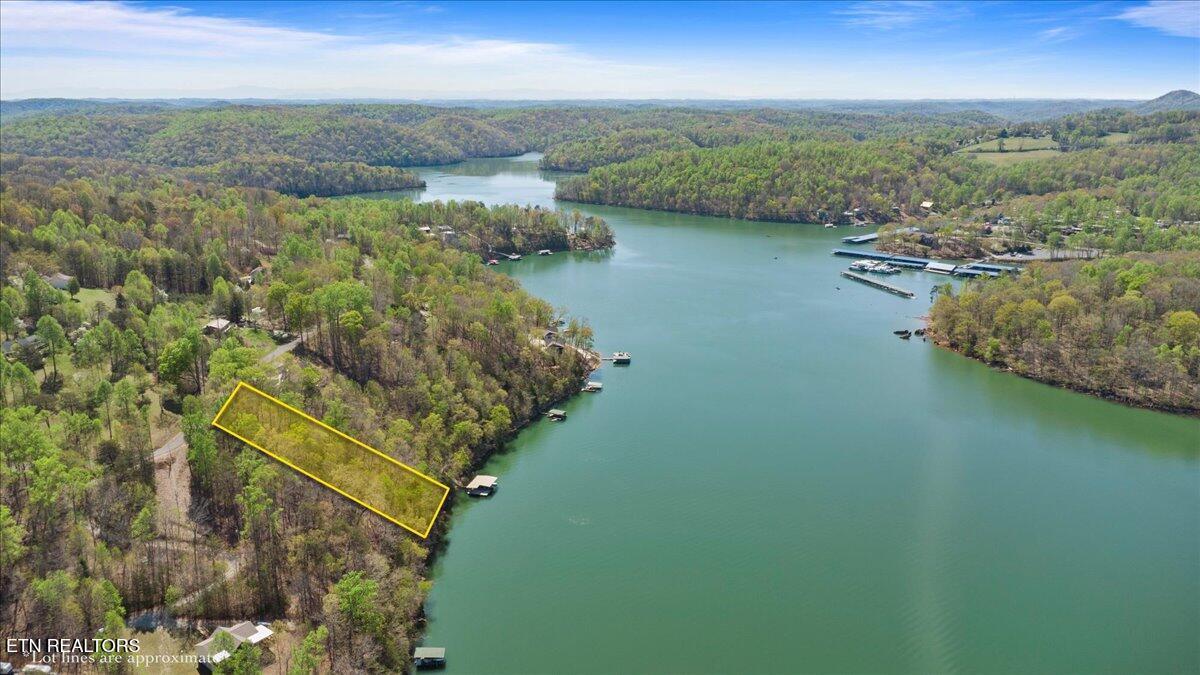 Lot 44 Hiwassee Drive, Jacksboro, TN - Norris Lake Real Estate - Image# 2