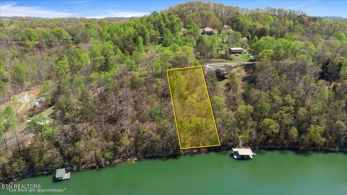 Lot 44 Hiwassee Drive, Jacksboro, TN - Norris Lake Real Estate - Image# 3