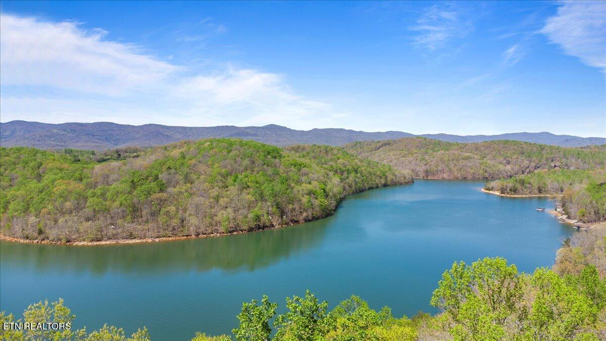 Lot 44 Hiwassee Drive, Jacksboro, TN - Norris Lake Real Estate - Image# 5