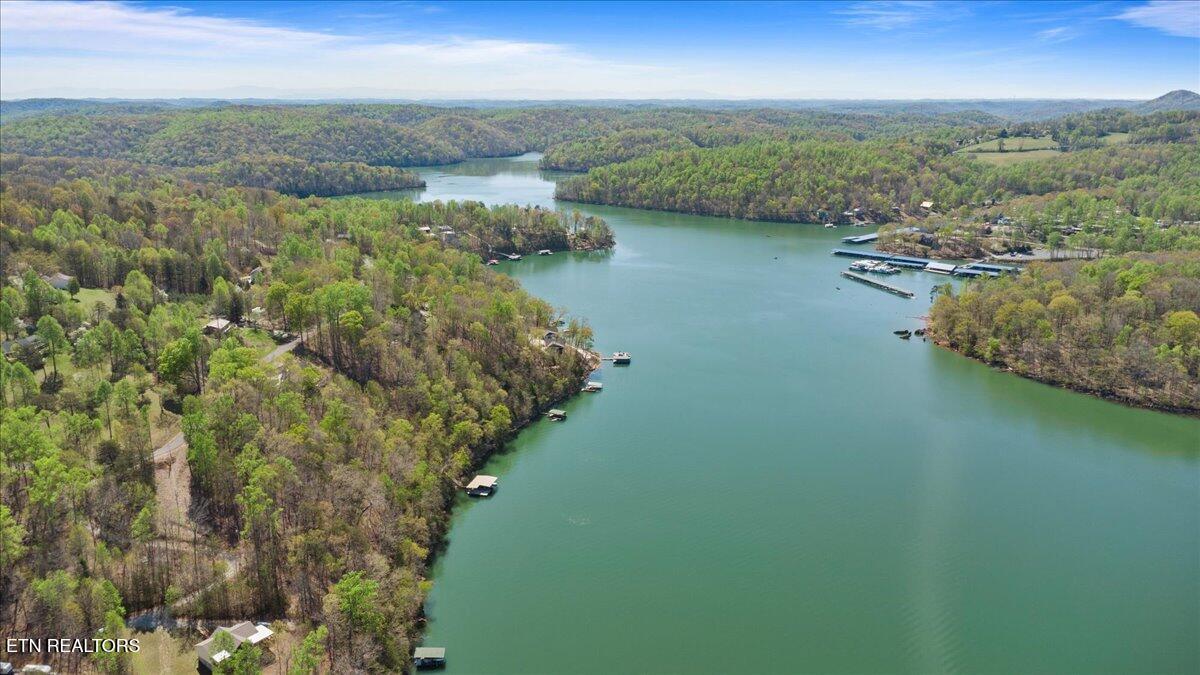 Lot 44 Hiwassee Drive, Jacksboro, TN - Norris Lake Real Estate - Image# 6