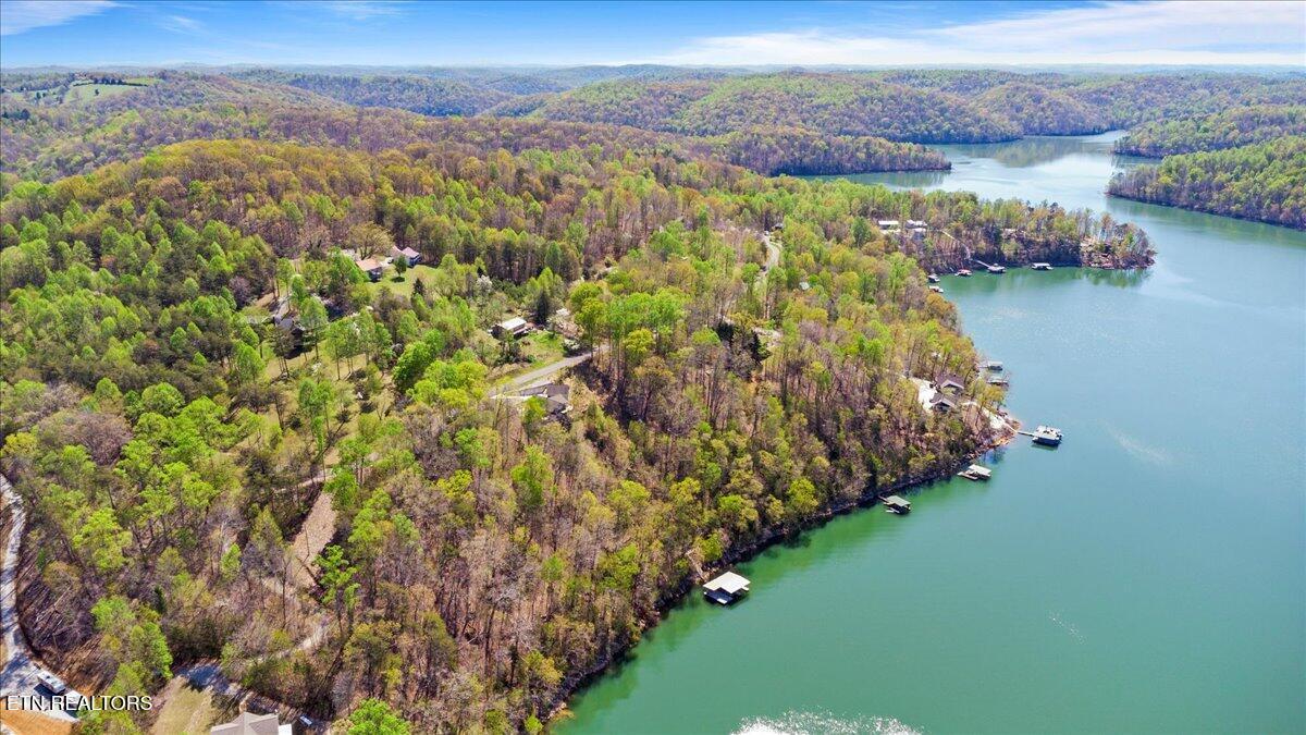 Lot 44 Hiwassee Drive, Jacksboro, TN - Norris Lake Real Estate - Image# 7