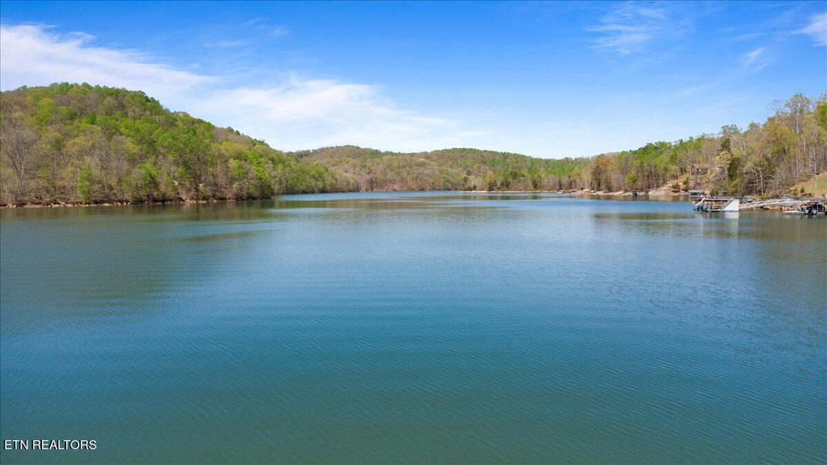 Lot 44 Hiwassee Drive, Jacksboro, TN - Norris Lake Real Estate - Image# 8