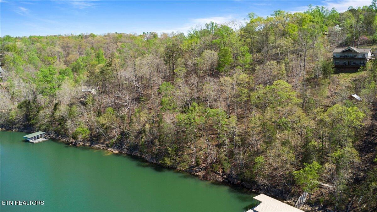 Lot 44 Hiwassee Drive, Jacksboro, TN - Norris Lake Real Estate - Image# 11
