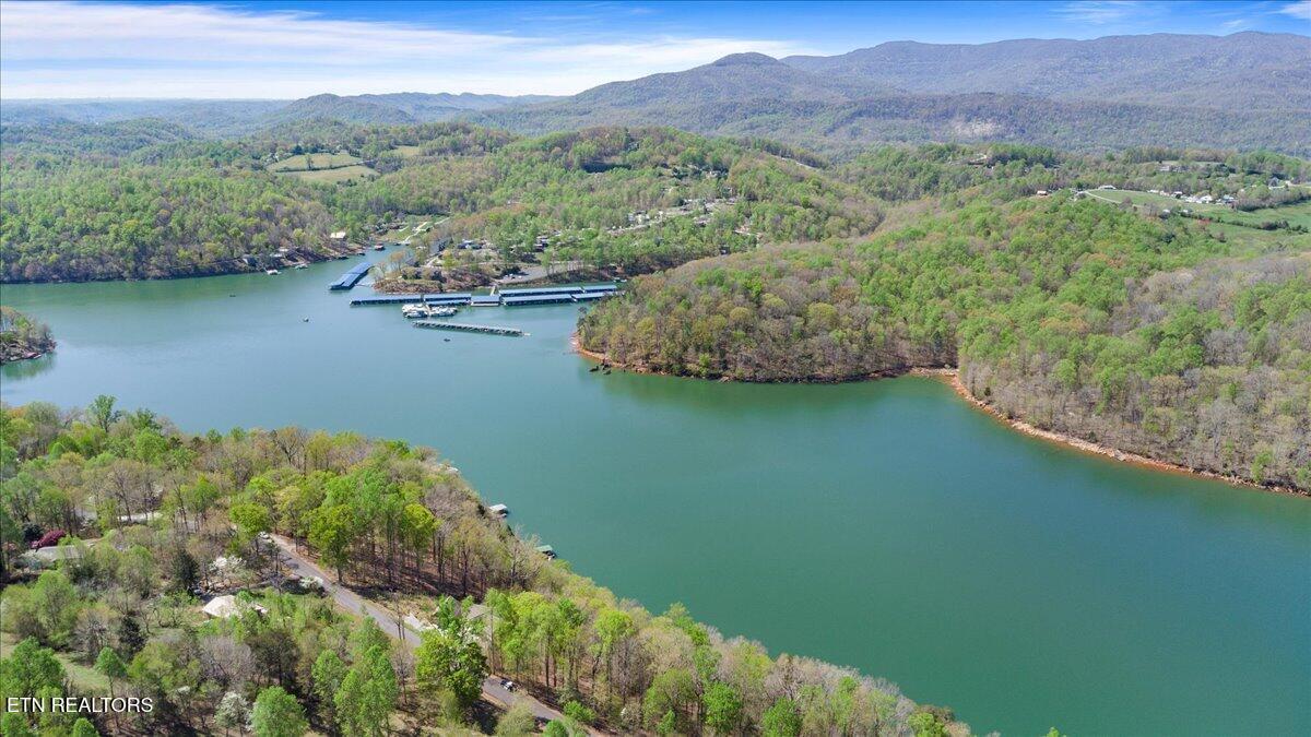 Lot 44 Hiwassee Drive, Jacksboro, TN - Norris Lake Real Estate - Image# 12