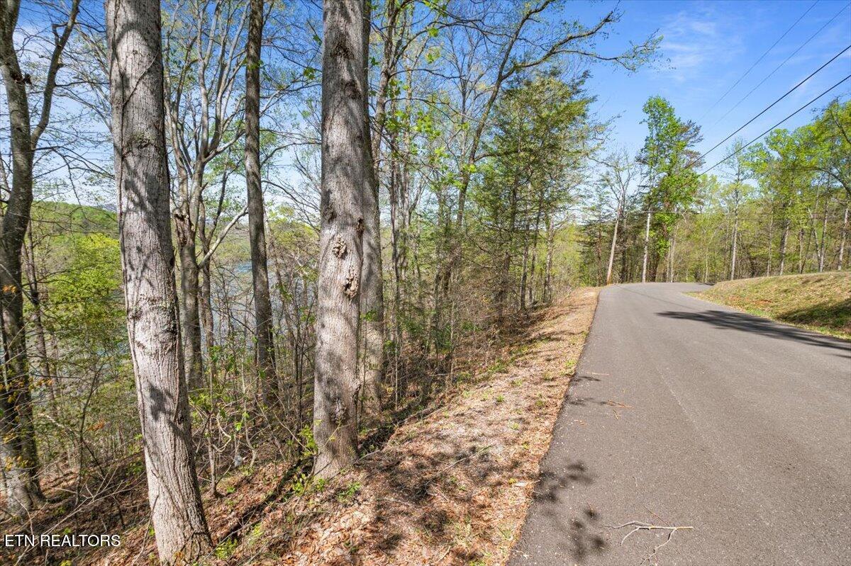 Lot 44 Hiwassee Drive, Jacksboro, TN - Norris Lake Real Estate - Image# 14