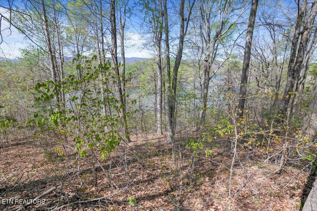 Lot 44 Hiwassee Drive, Jacksboro, TN - Norris Lake Real Estate - Image# 16