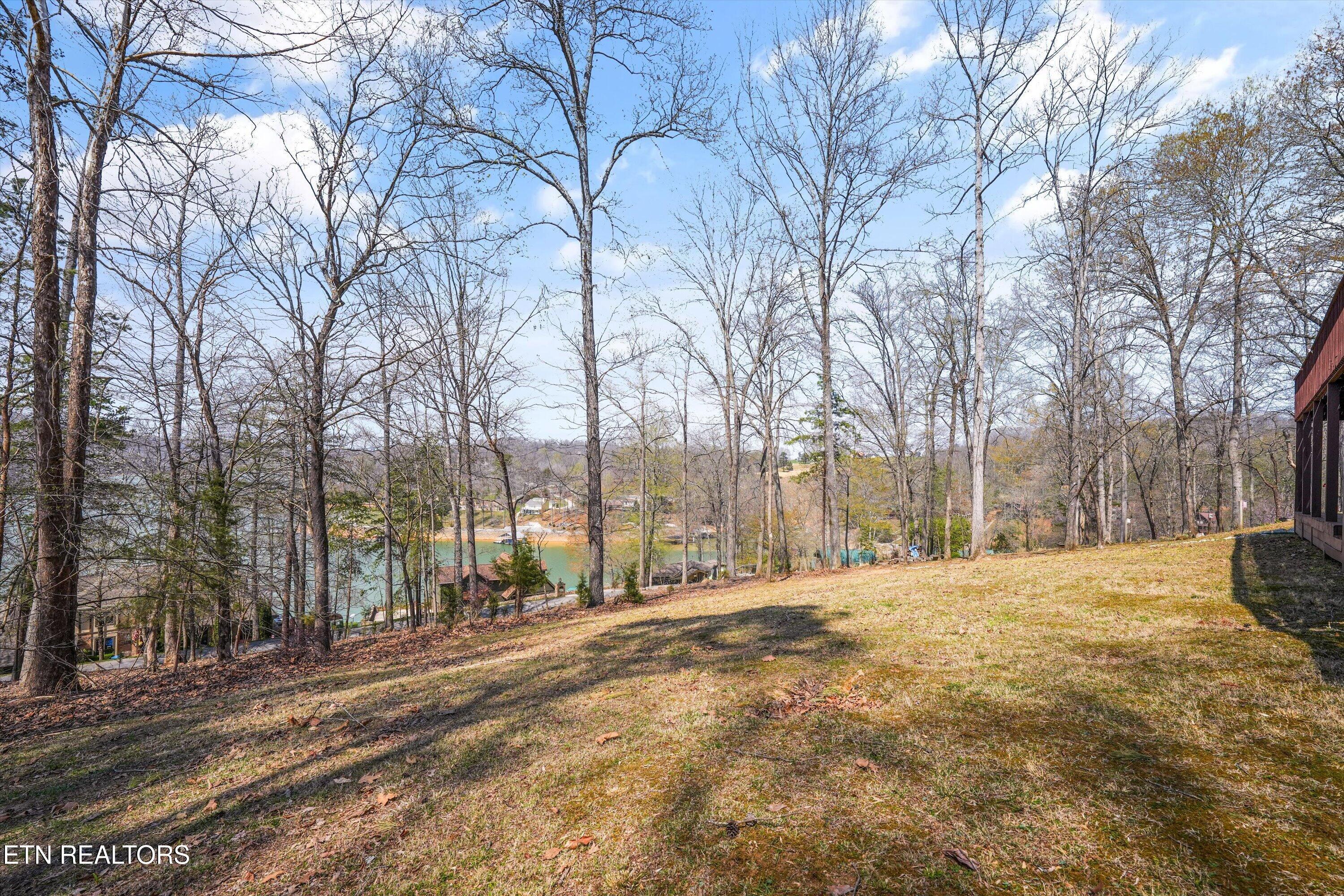 Norris Lake Real Estate - Image# 49