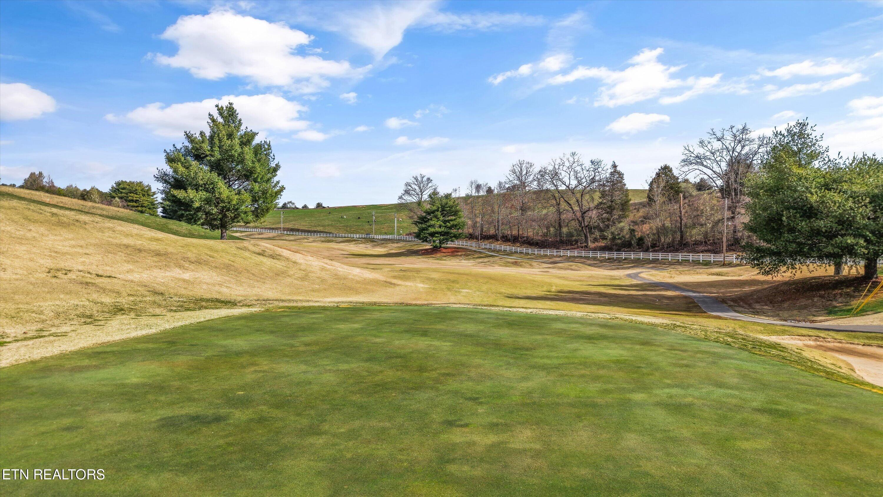 Norris Lake Real Estate - Image# 41